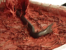Making Of - Evil Dead