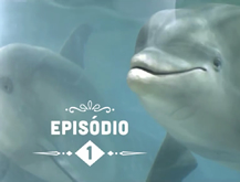 Episodio 1 - Rango & Fish
