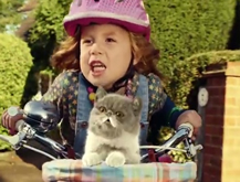 #SingItKitty