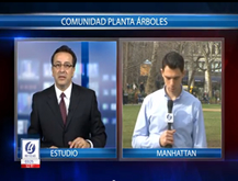 Reporter