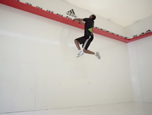 D Rose Jump Store