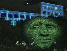 The Feeling Tree