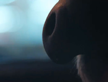 Teaser - Alf Vuelve