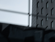 Urban Species