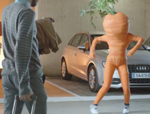 The Carrot
