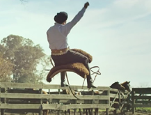 El Encantador de Caballos