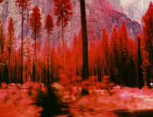 Paisajes