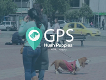 GPS Hush Puppies