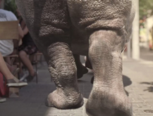 Rino
