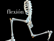 Rodilla