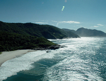 My Brasil