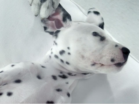 SkinChecker