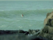 Surfista