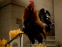 Chicken Fries