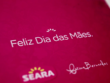 Dia das Maes