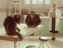 Monos