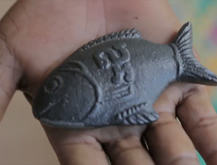 Caso - The Lucky Iron Fish Project