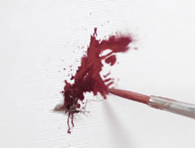 Blood Portraits