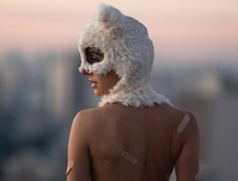 Teaser - Muetra Arte Felina