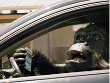 Gorilla Texting