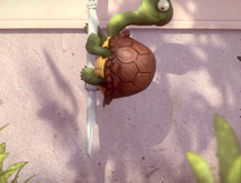 Tortuga