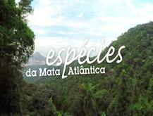 Parque Nacional da Tijuca