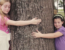 ¡Día del Árbol!