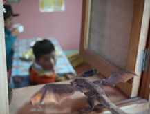 Dragón