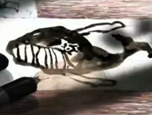 Man Whale
