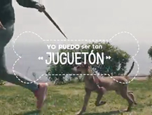Disfraces de Adopción