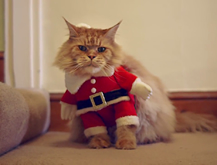 Say sorry for the holidays