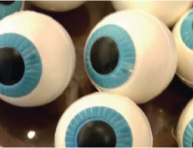 Cobertura El Ojo 2015 (1ªParte)