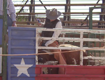 Bull