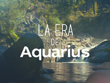 Cápsula - Acuario