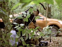 Making of - Totalmente