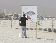 Fresh Fish Poster