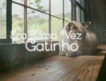 WHISKAS Kitty Adventures