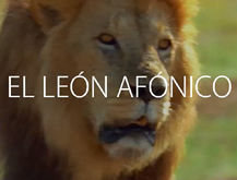 León