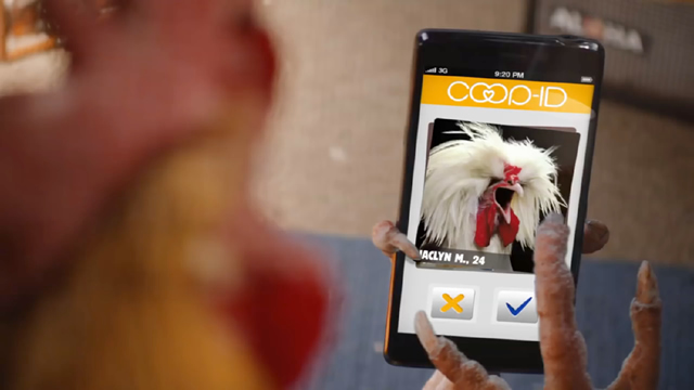 Chicken Fries - Deu Match