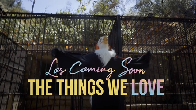 The things we love