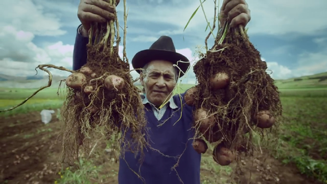 Perú, dedicado al mundo