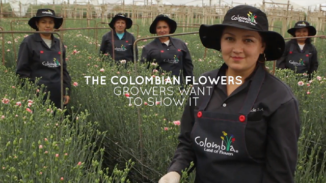Caso Colombia Land of Flowers
