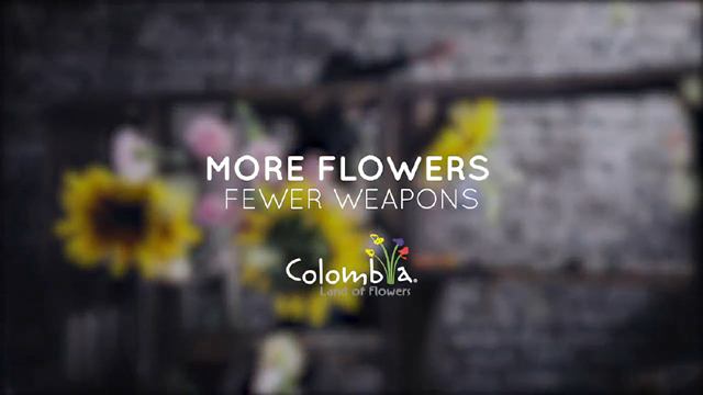 Land of Flowers (versión 30 seg)