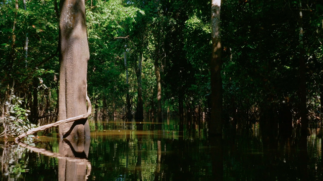 Camila Pitanga é a Amazonia