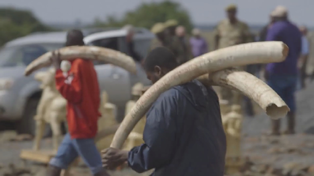 #JoinTheHerd