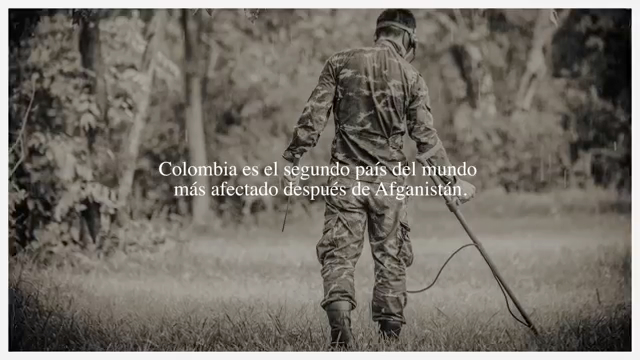 Letras de Apoyo