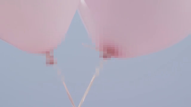 PuberConejos