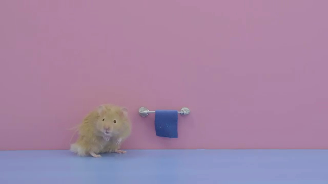 Ratero