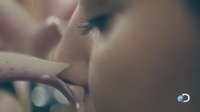 Aroma - Episodio 2