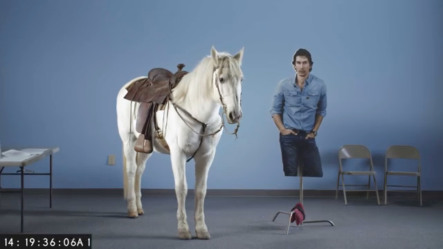 Horse Casting II